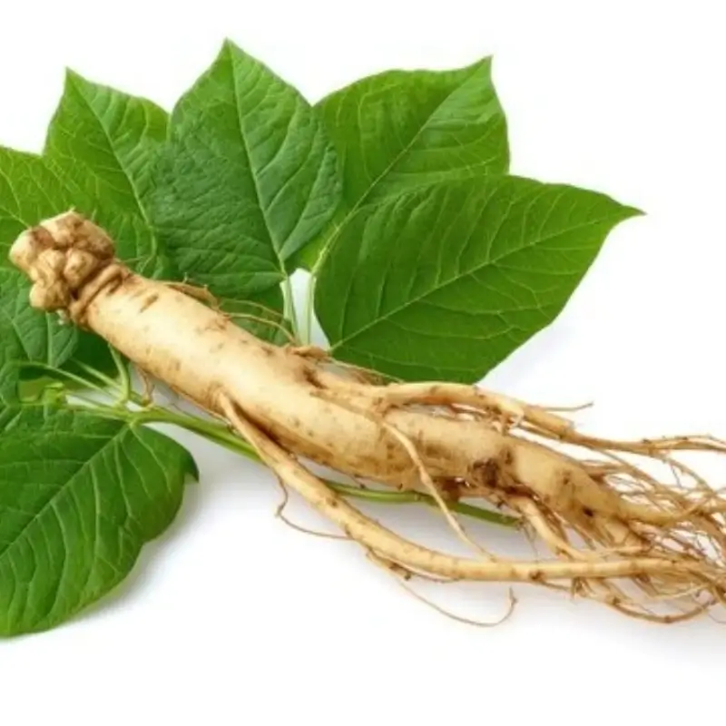 panax ginseng leaf extract ginsenosides 4 80%uv good water solubility asian ginseng/korean ginseng/white ginseng extract panax ginseng leaf extract ginsenosides 4 80%uv good water solubility asian ginseng/korean ginseng/white ginseng extract