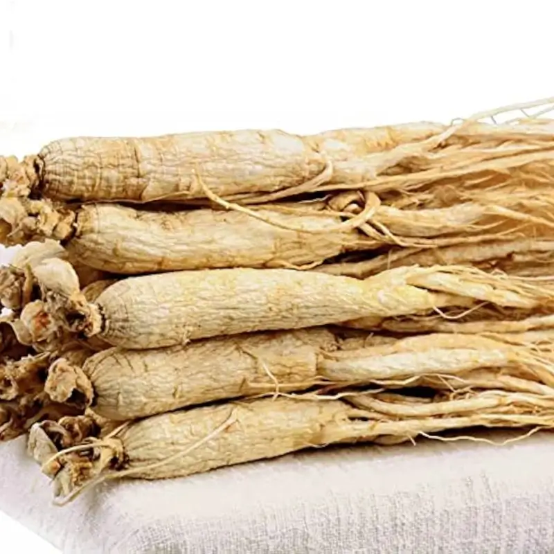 panax ginseng root extract ginsenosides 5 60%hplc asian ginseng/korean ginseng/white ginseng extract panax ginseng root extract ginsenosides 5 60%hplc asian ginseng/korean ginseng/white ginseng extract