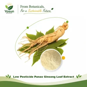 Home low pesticide panax ginseng leaf extract 4 80%uv ec396 compliance usp compliance asian ginseng/korean ginseng/white ginseng extract