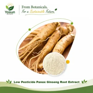 Home low pesticide panax ginseng leaf extract 4 80%uv ec396 compliance usp compliance asian ginseng/korean ginseng/white ginseng extract