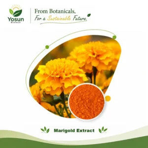marigold extract lutein zeaxanthin tagetes erecta extract natural anti oxidant natural colours