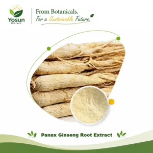 Home panax ginseng root extract ginsenosides 5 60%hplc asian ginseng/korean ginseng/white ginseng extract