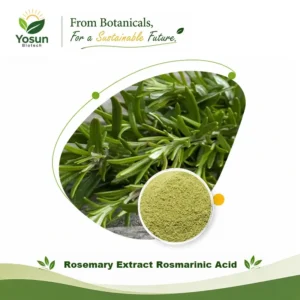 Home rosemary extract rosmarinic acid 5 98%hplc natural anti oxidant water dissolvable rosmarinus officinalis extract