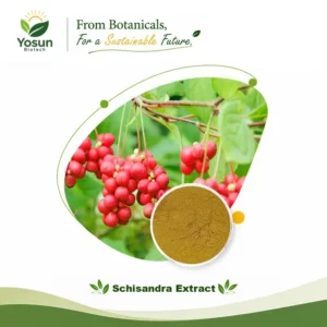 Home schisandra berry extract schisandrins/schisandrol a/schisandrin a/schisandrin b schisandra extract schisandra chinensis extract