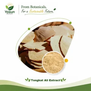 Home tongkat ali extract 1% 10%hplc eurycomanone 4:1/20:1/50:1/100:1 eurycoma longifolia extract longjack extract tongkat ali root extract