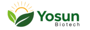 yosun logo 0609 06