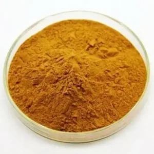 rosemary extract carnosic acid powder 5 60%hplc natural anti oxidant lipid dissolvable rosmarinus officinalis extract