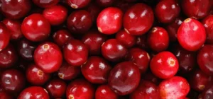 american cranberry extract proanthocyanidins 2 30%/proanthocyanidin a2 1 30% bl dmac natural anti oxidant/uti prevention & urinary health vaccinium macrocarpon extract