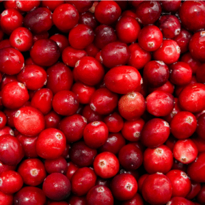 Home cranberry extract proanthocyanidins 5 95%uv natural anti oxidant/uti prevention & urinary health vaccinium macrocarpon extract